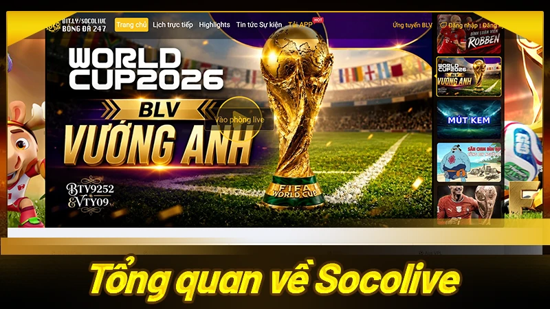 Tổng quan về Socolive